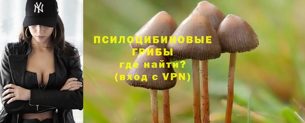 крисы Пересвет