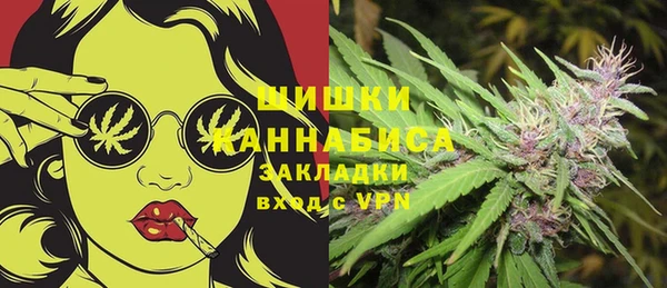 spice Осинники