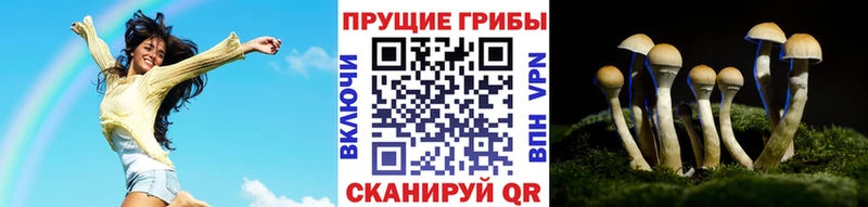 mega ССЫЛКА  Подольск  Галлюциногенные грибы прущие грибы 