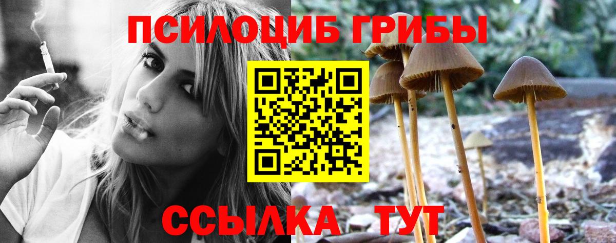 Галлюциногенные грибы Magic Shrooms  Псилоцибиновые грибы прущие грибы  Подольск 